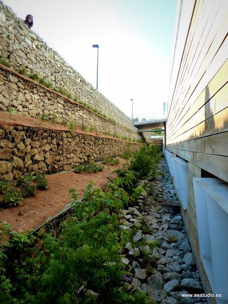 Reurbanización universitaria