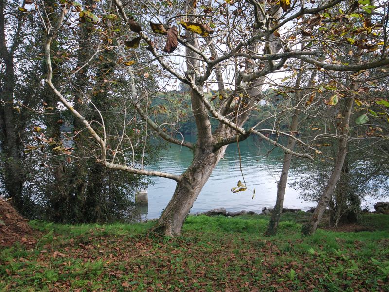 O Baño (Mugardos)