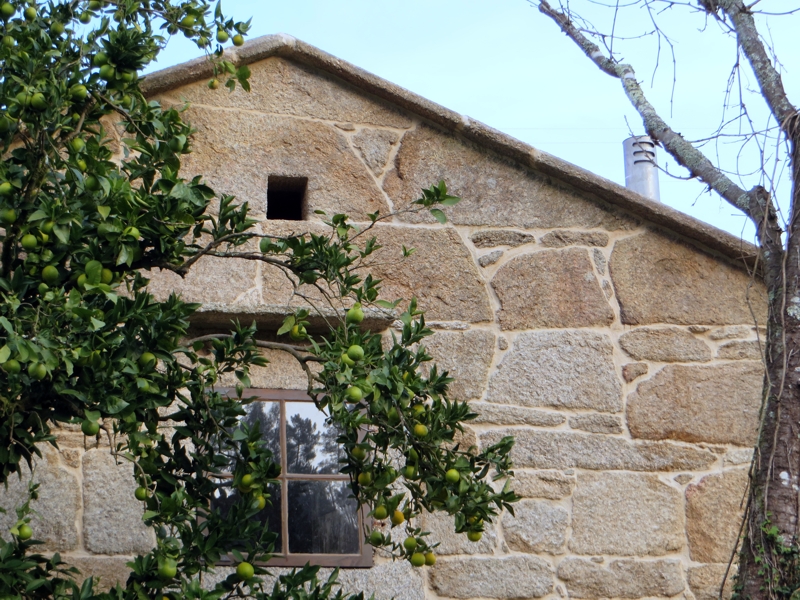 Peto de Ánimas