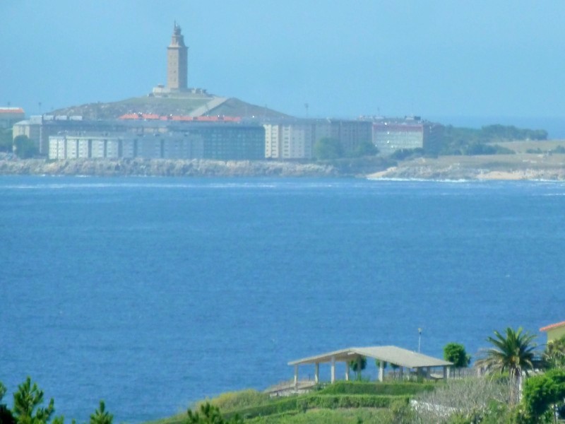Canide (Oleiros)